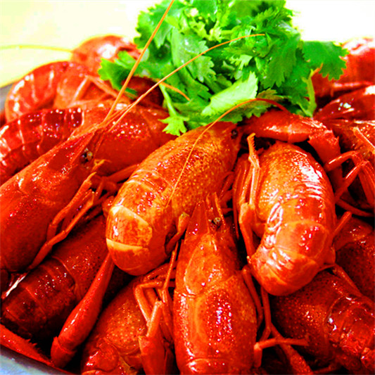 全国信誉第一的网投平台网页