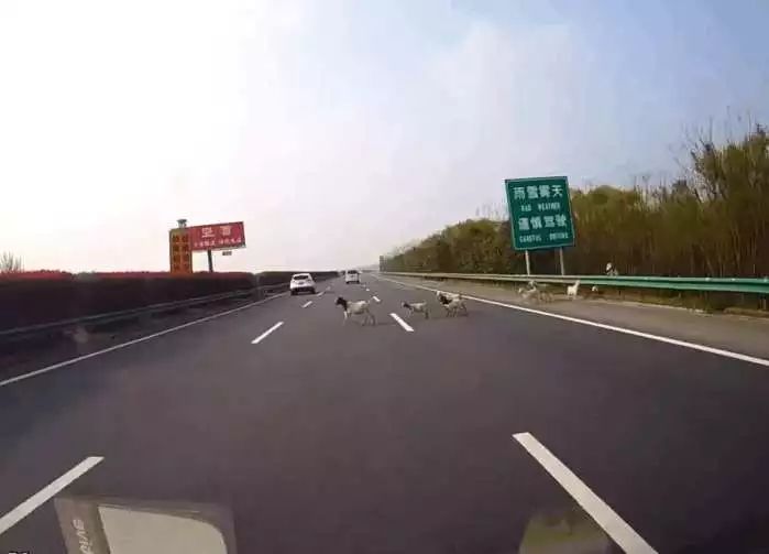 全国信誉第一的网投平台网页-电脑族如何减少电脑辐射?(图3) 全国信誉第一的网投平台网页