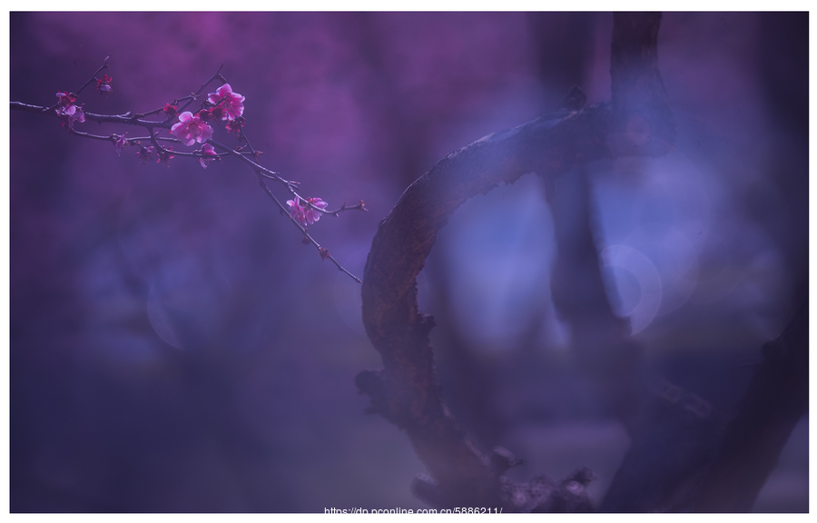 全国信誉第一的网投平台